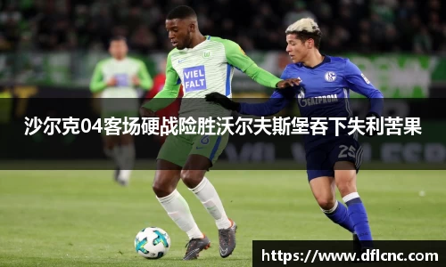 沙尔克04客场硬战险胜沃尔夫斯堡吞下失利苦果
