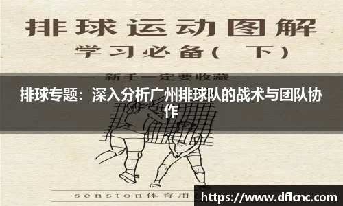 排球专题：深入分析广州排球队的战术与团队协作