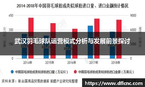武汉羽毛球队运营模式分析与发展前景探讨